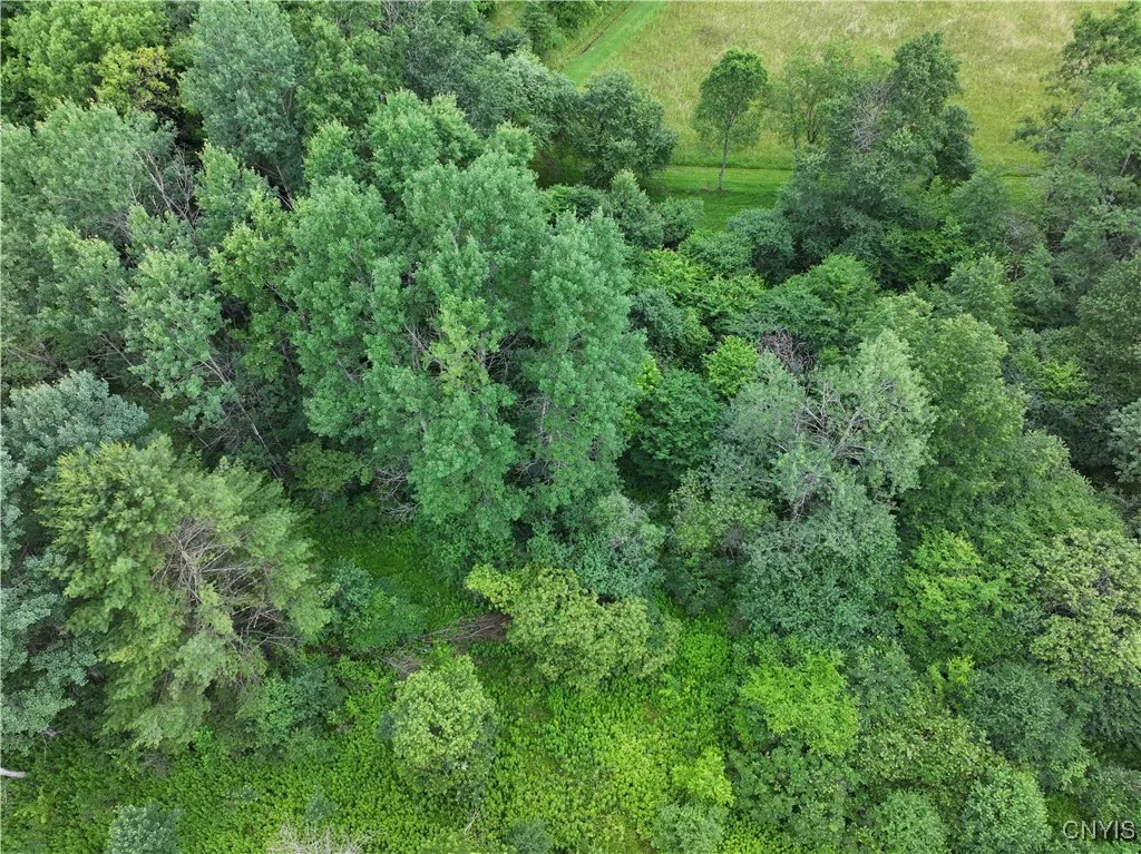 Creek Road, Hinsdale, New York 14743, Hinsdale, New York 14743, ,Land,Closed,Creek Road, Hinsdale, New York 14743,0,S1619408