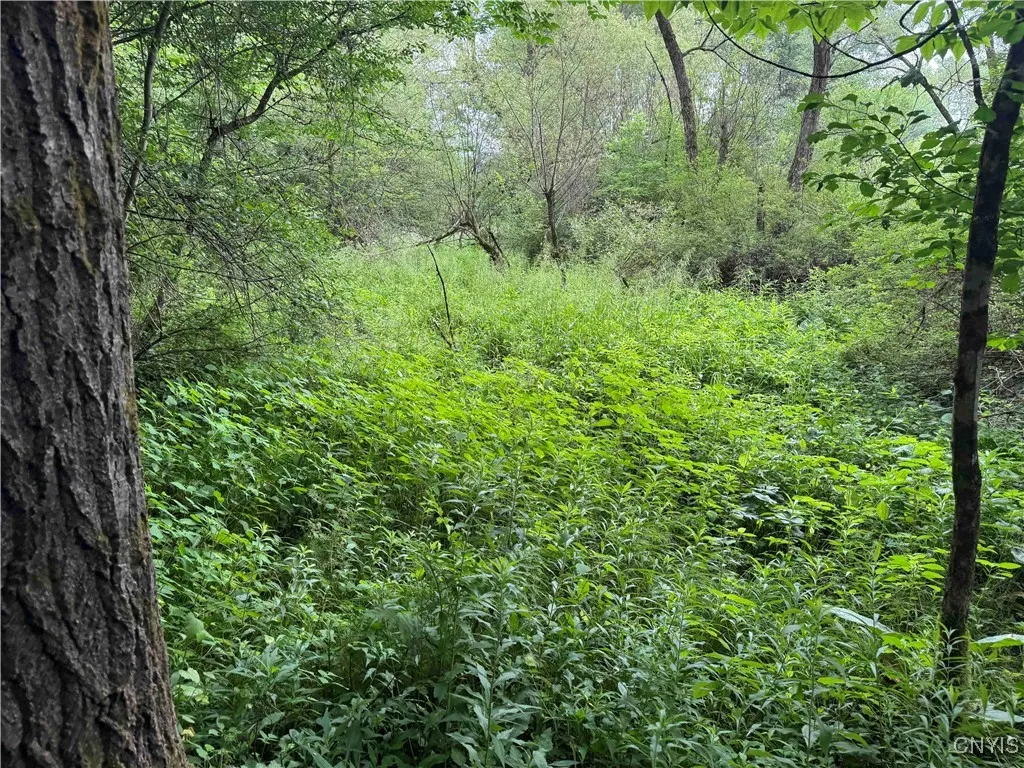 Creek Road, Hinsdale, New York 14743, Hinsdale, New York 14743, ,Land,Closed,Creek Road, Hinsdale, New York 14743,0,S1619408