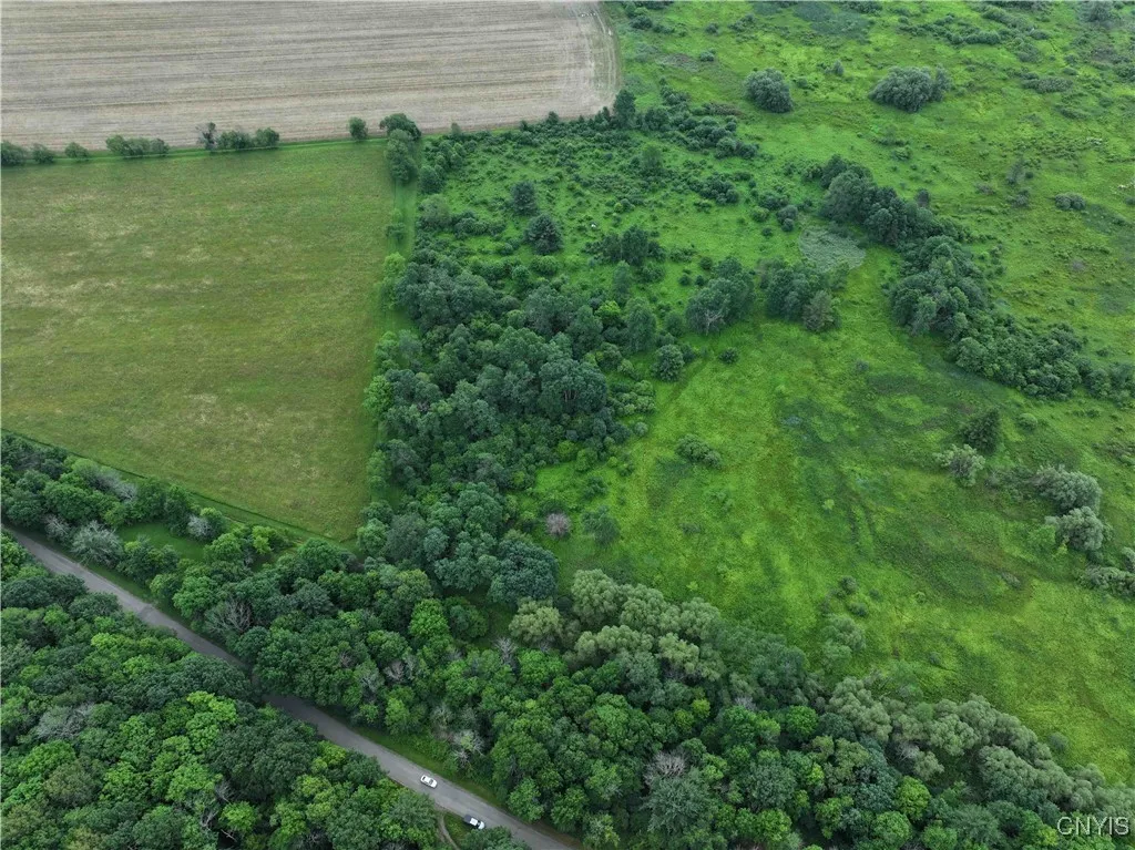 Creek Road, Hinsdale, New York 14743, Hinsdale, New York 14743, ,Land,Closed,Creek Road, Hinsdale, New York 14743,0,S1619408