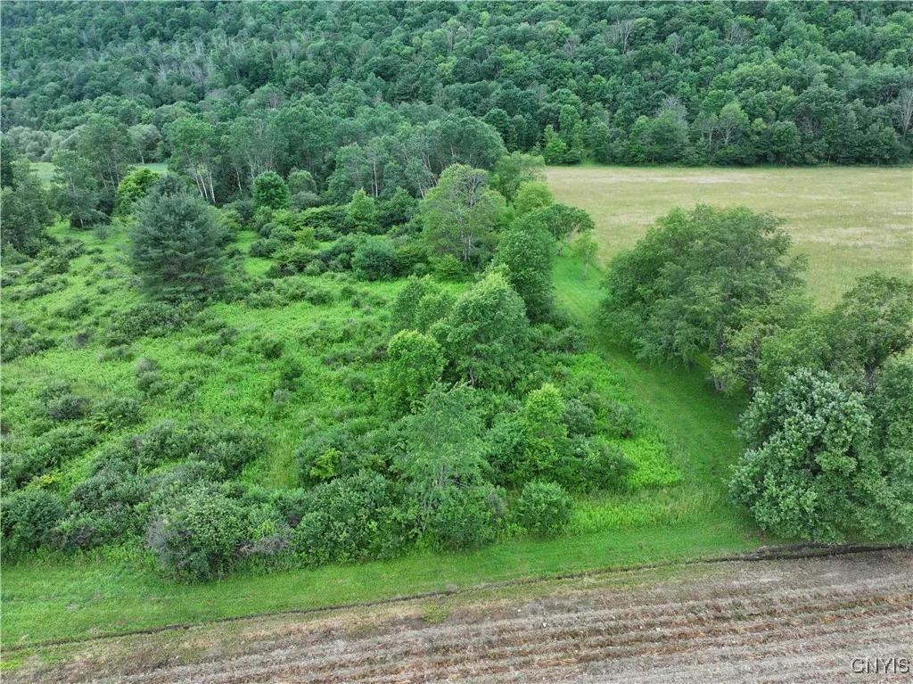 Creek Road, Hinsdale, New York 14743, Hinsdale, New York 14743, ,Land,Closed,Creek Road, Hinsdale, New York 14743,0,S1619408