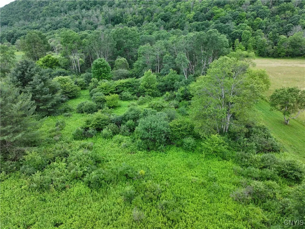 Creek Road, Hinsdale, New York 14743, Hinsdale, New York 14743, ,Land,Closed,Creek Road, Hinsdale, New York 14743,0,S1619408