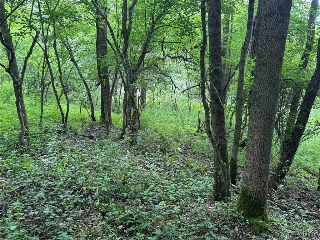 Creek Road, Hinsdale, New York 14743, Hinsdale, New York 14743, ,Land,Closed,Creek Road, Hinsdale, New York 14743,0,S1619408