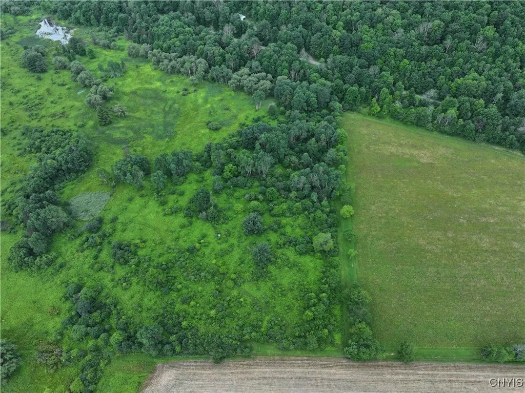 Creek Road, Hinsdale, New York 14743, Hinsdale, New York 14743, ,Land,Closed,Creek Road, Hinsdale, New York 14743,0,S1619408