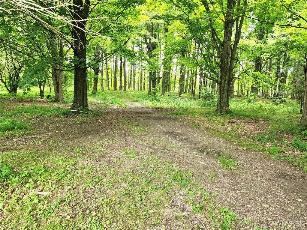2838 Orangeville Center Road, Orangeville, New Yor, Orangeville, New York 14569, 3 Bedrooms Bedrooms, 10 Rooms Rooms,2 BathroomsBathrooms,Residential,Closed,2838 Orangeville Center Road, Orangeville, New Yor,0,B1613782