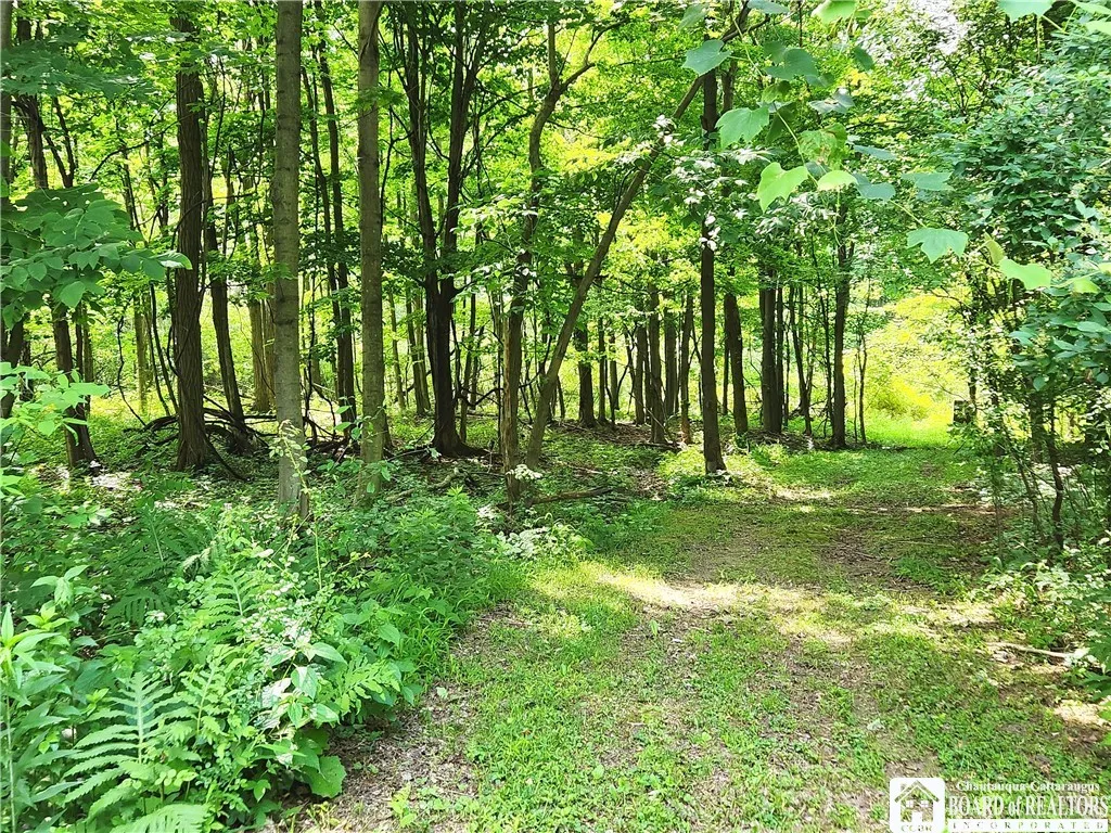 8805 Chautauqua Road, Pomfret, New York 14063, Pomfret, New York 14063, ,Land,Closed,8805 Chautauqua Road, Pomfret, New York 14063,0,R1619372