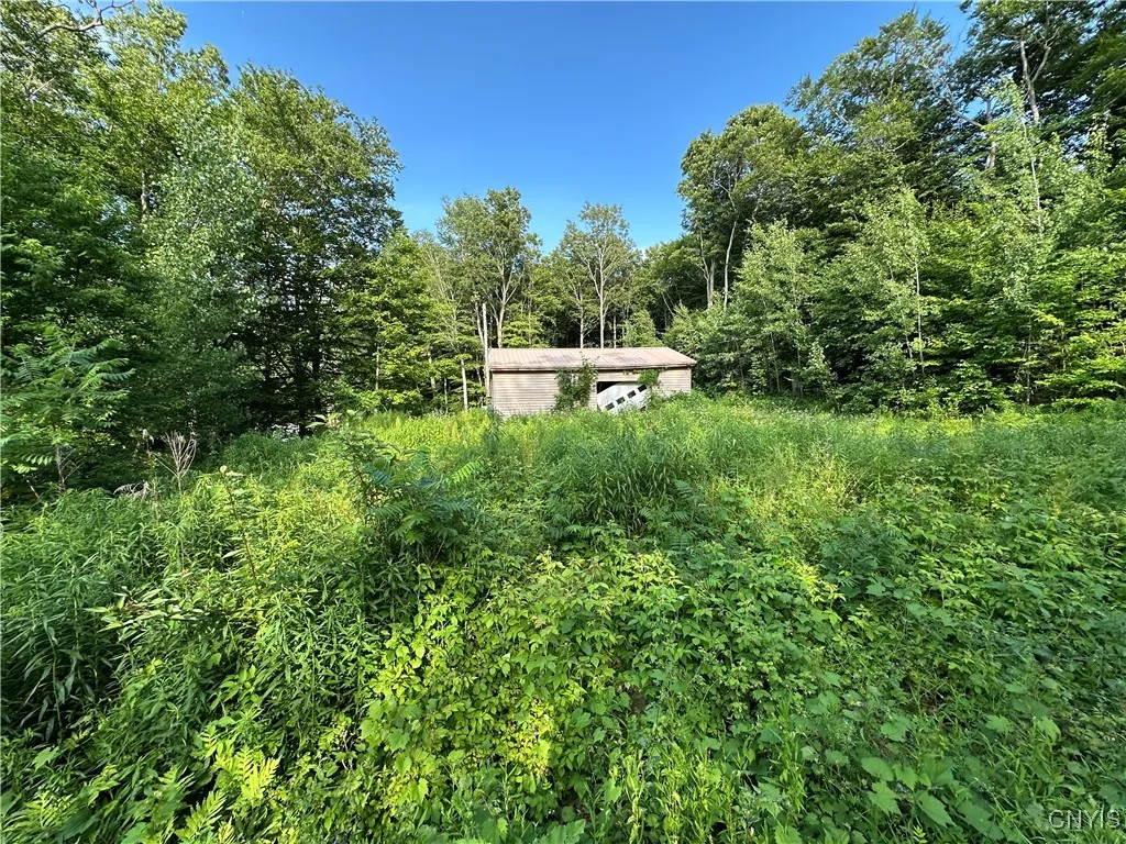90 Shore Oaks Drive, New Haven, New York 13126, New Haven, New York 13126, ,Land,Closed,90 Shore Oaks Drive, New Haven, New York 13126,S1619504