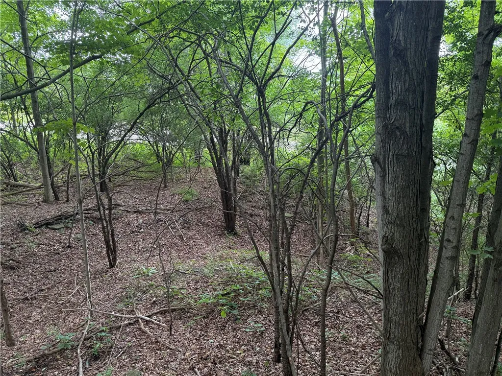 0 Hornell Reservoir Road, Fremont, New York 14843, Fremont, New York 14843, ,Land,For Sale,0 Hornell Reservoir Road, Fremont, New York 14843,0,R1619626