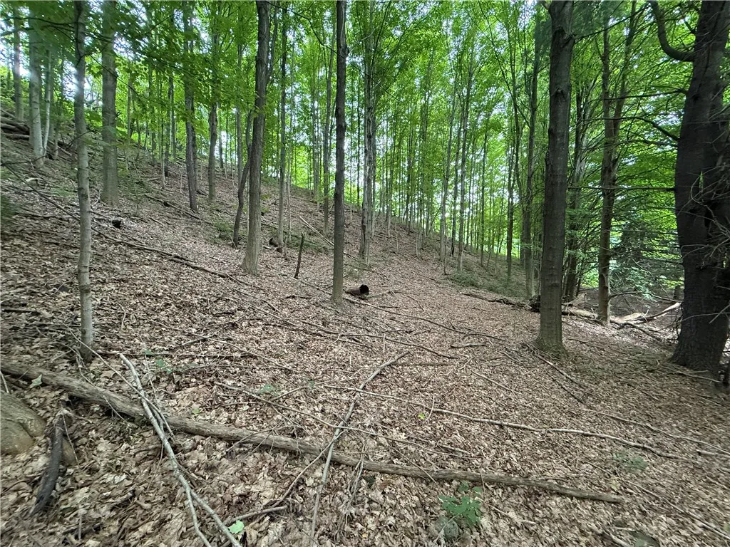 0 Hornell Reservoir Road, Fremont, New York 14843, Fremont, New York 14843, ,Land,For Sale,0 Hornell Reservoir Road, Fremont, New York 14843,0,R1619626