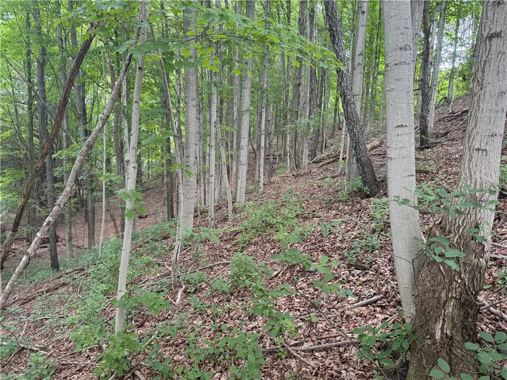 0 Hornell Reservoir Road, Fremont, New York 14843, Fremont, New York 14843, ,Land,For Sale,0 Hornell Reservoir Road, Fremont, New York 14843,0,R1619626