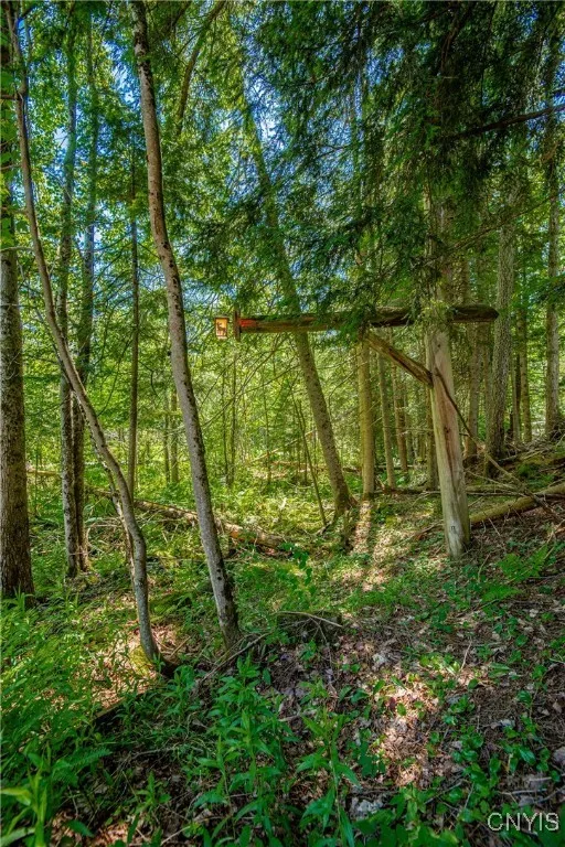 2020 Tamarack Road, Forestport, New York 13494, Forestport, New York 13494, 3 Bedrooms Bedrooms, ,2 BathroomsBathrooms,Land,Closed,2020 Tamarack Road, Forestport, New York 13494,S1618909