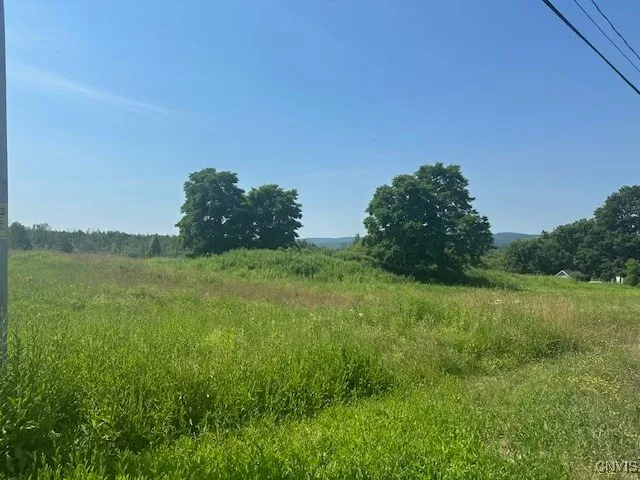 Chapman Road, New Hartford, New York 13413, New Hartford, New York 13413, ,Land,For Sale,Chapman Road, New Hartford, New York 13413,S1619699