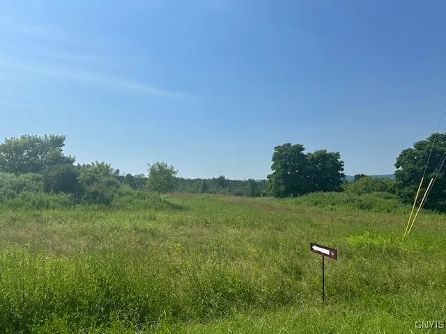 Chapman Road, New Hartford, New York 13413, New Hartford, New York 13413, ,Land,For Sale,Chapman Road, New Hartford, New York 13413,S1619699