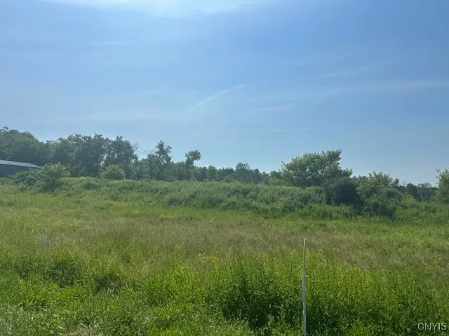 Chapman Road, New Hartford, New York 13413, New Hartford, New York 13413, ,Land,For Sale,Chapman Road, New Hartford, New York 13413,S1619699