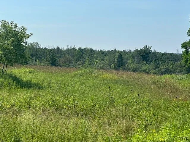 Chapman Road, New Hartford, New York 13413, New Hartford, New York 13413, ,Land,For Sale,Chapman Road, New Hartford, New York 13413,S1619699