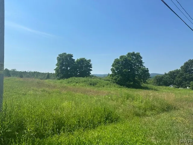 Chapman Road, New Hartford, New York 13413, New Hartford, New York 13413, ,Land,For Sale,Chapman Road, New Hartford, New York 13413,S1619699