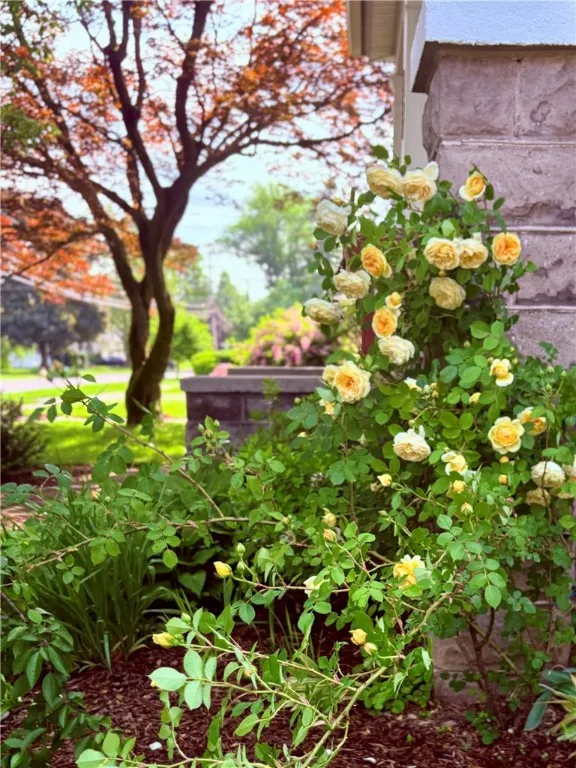 357 Washington Street, Geneva City, New York 14456, Geneva City, New York 14456, 5 Bedrooms Bedrooms, 12 Rooms Rooms,2 BathroomsBathrooms,Residential,For Sale,357 Washington Street, Geneva City, New York 14456,R1619694