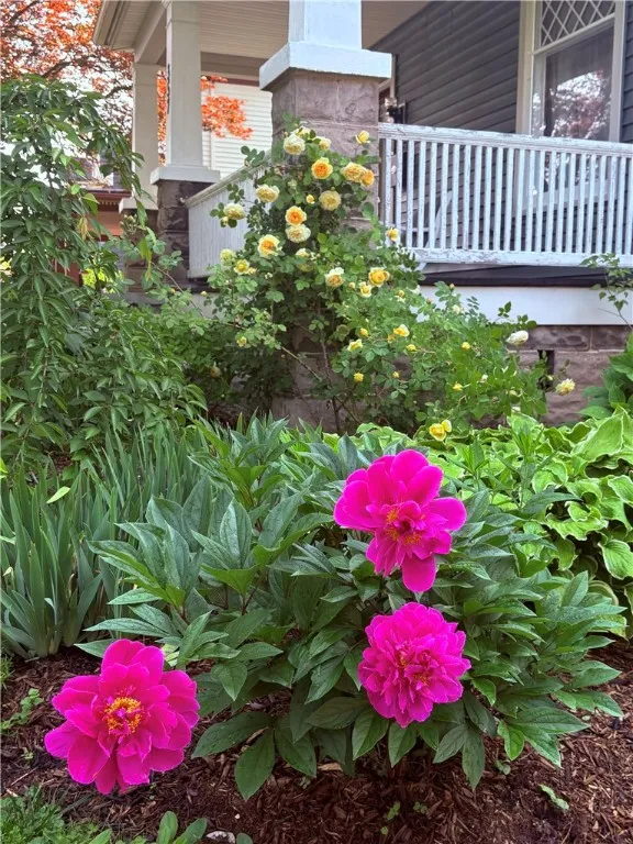 357 Washington Street, Geneva City, New York 14456, Geneva City, New York 14456, 5 Bedrooms Bedrooms, 12 Rooms Rooms,2 BathroomsBathrooms,Residential,For Sale,357 Washington Street, Geneva City, New York 14456,R1619694