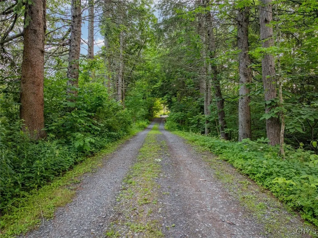 7764 Cameron Hill Road, Deerfield, New York 13502, Deerfield, New York 13502, 3 Bedrooms Bedrooms, 6 Rooms Rooms,1 BathroomBathrooms,Residential,For Sale,7764 Cameron Hill Road, Deerfield, New York 13502,S1619697
