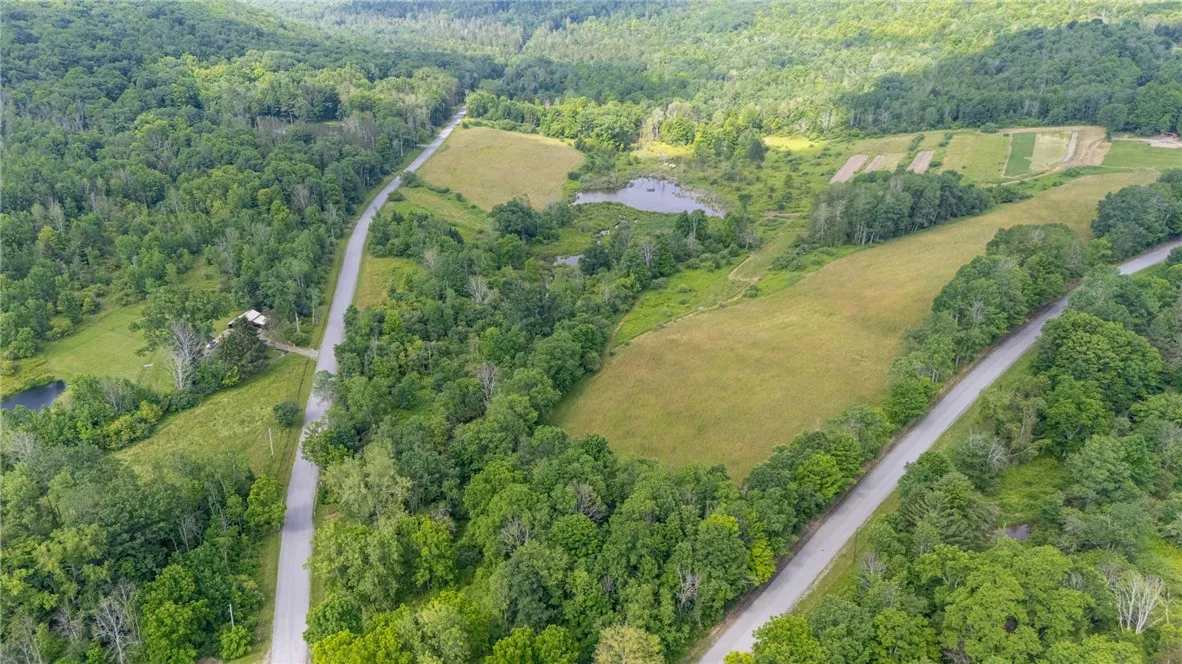Scoville Rd, Ossian, New York 14437, Ossian, New York 14437, ,Land,Closed,Scoville Rd, Ossian, New York 14437,0,R1619509