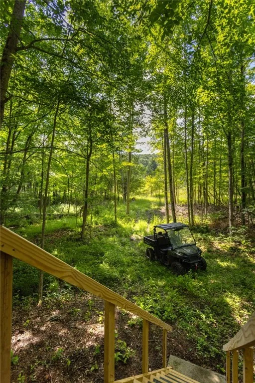 Scoville Rd, Ossian, New York 14437, Ossian, New York 14437, ,Land,Closed,Scoville Rd, Ossian, New York 14437,0,R1619509