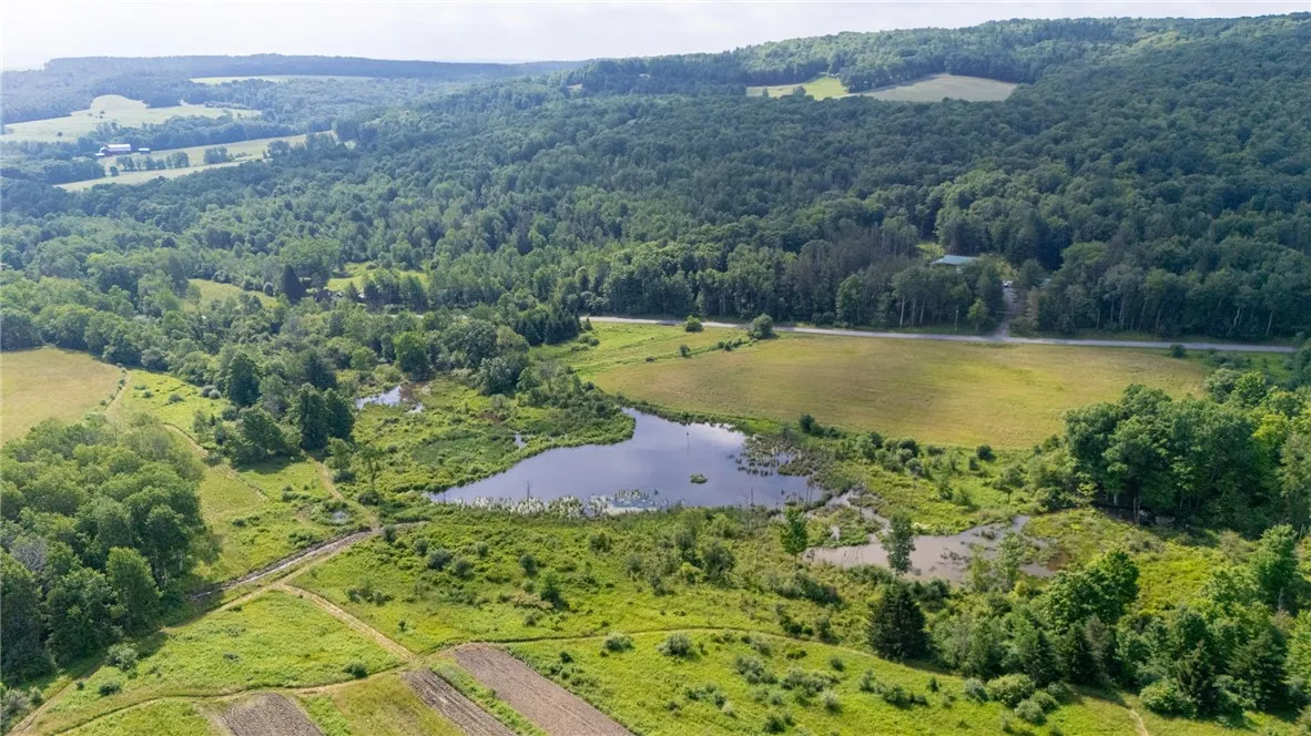 Scoville Rd, Ossian, New York 14437, Ossian, New York 14437, ,Land,Closed,Scoville Rd, Ossian, New York 14437,0,R1619509