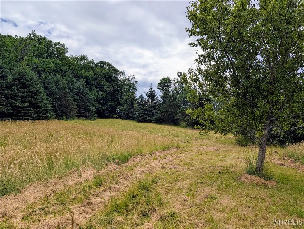 9775 Huyck Road, Farmersville, New York 14060, Farmersville, New York 14060, 3 Bedrooms Bedrooms, 10 Rooms Rooms,2 BathroomsBathrooms,Residential,Closed,9775 Huyck Road, Farmersville, New York 14060,0,B1619152