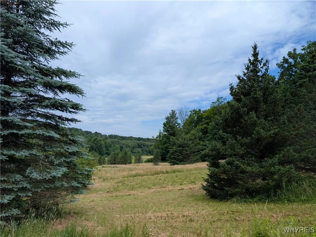 9775 Huyck Road, Farmersville, New York 14060, Farmersville, New York 14060, 3 Bedrooms Bedrooms, 10 Rooms Rooms,2 BathroomsBathrooms,Residential,Closed,9775 Huyck Road, Farmersville, New York 14060,0,B1619152