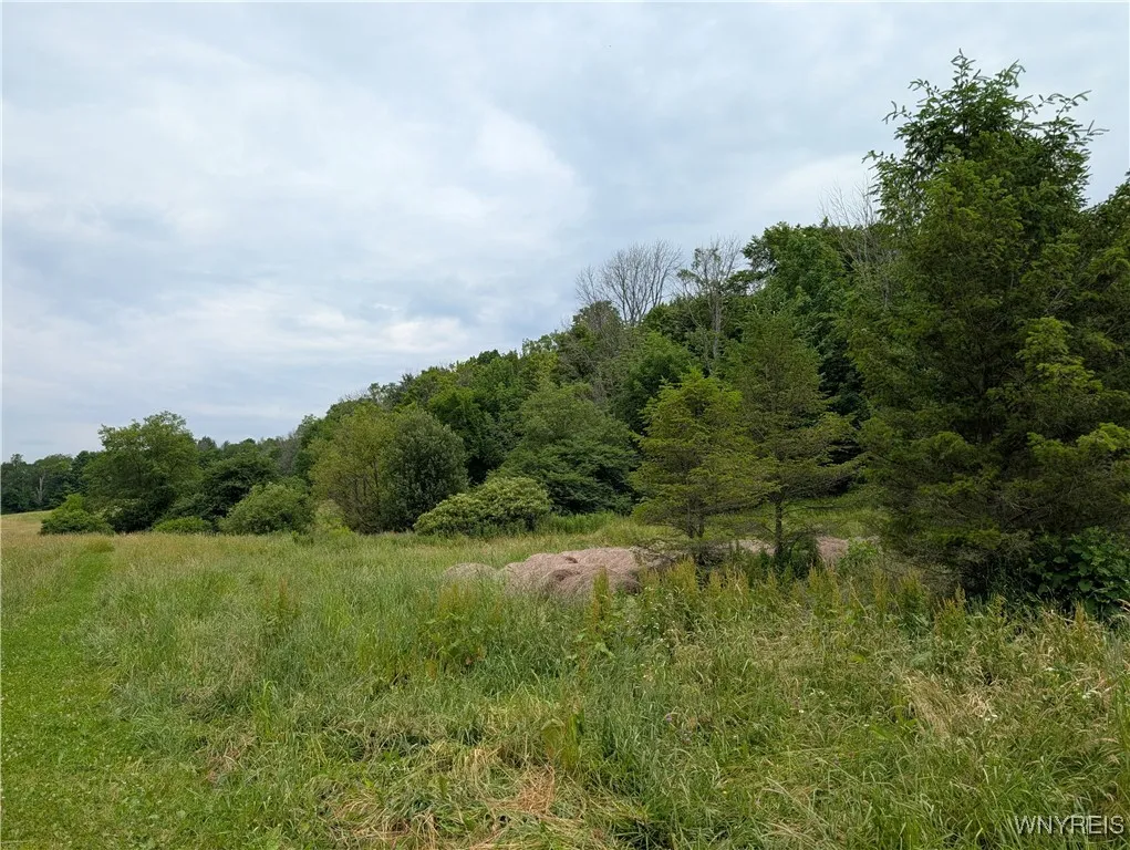 9775 Huyck Road, Farmersville, New York 14060, Farmersville, New York 14060, 3 Bedrooms Bedrooms, 10 Rooms Rooms,2 BathroomsBathrooms,Residential,Closed,9775 Huyck Road, Farmersville, New York 14060,0,B1619152