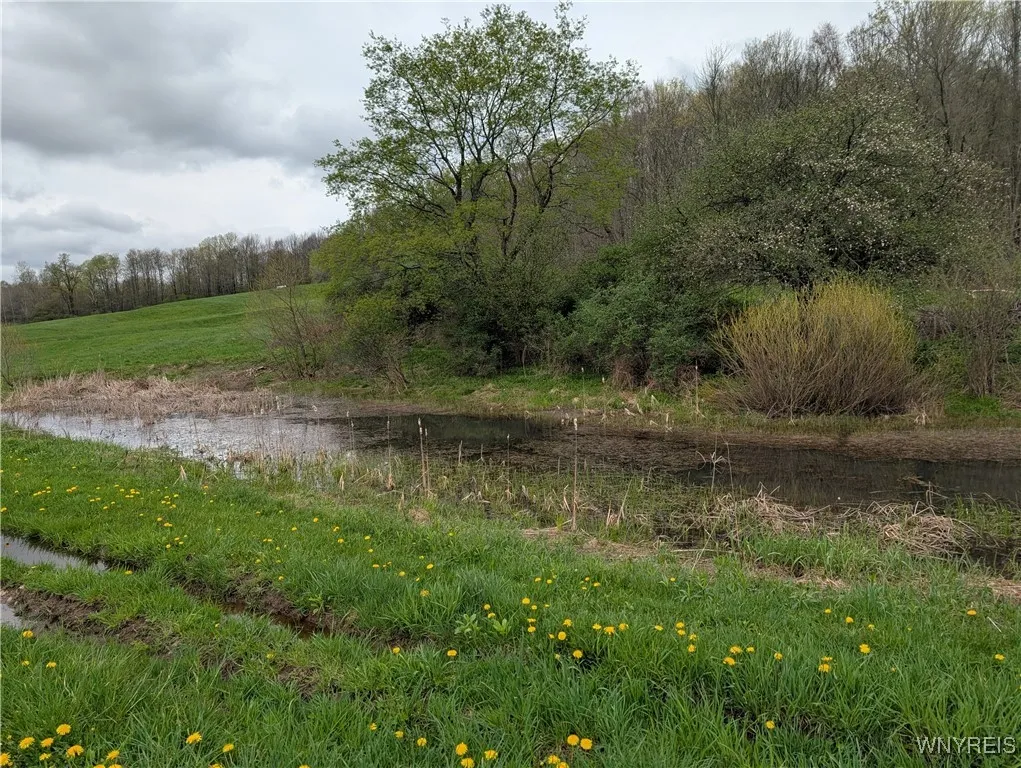 9775 Huyck Road, Farmersville, New York 14060, Farmersville, New York 14060, 3 Bedrooms Bedrooms, 10 Rooms Rooms,2 BathroomsBathrooms,Residential,Closed,9775 Huyck Road, Farmersville, New York 14060,0,B1619152