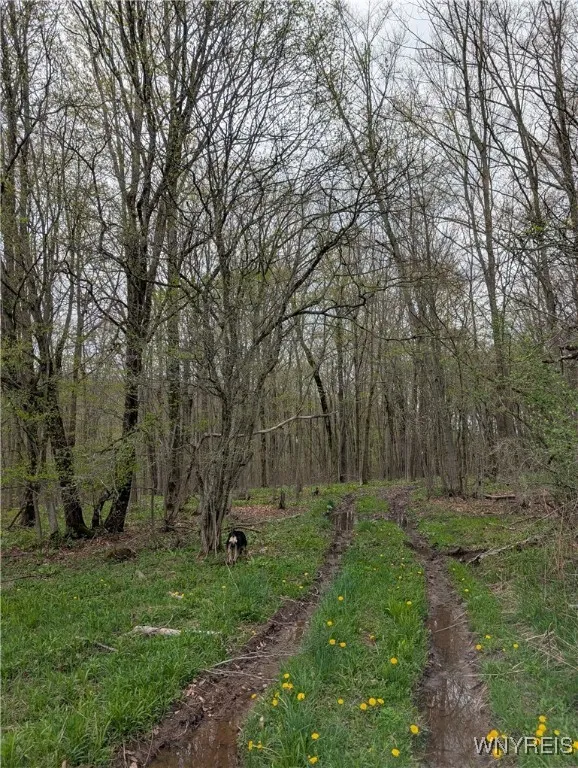 9775 Huyck Road, Farmersville, New York 14060, Farmersville, New York 14060, 3 Bedrooms Bedrooms, 10 Rooms Rooms,2 BathroomsBathrooms,Residential,Closed,9775 Huyck Road, Farmersville, New York 14060,0,B1619152