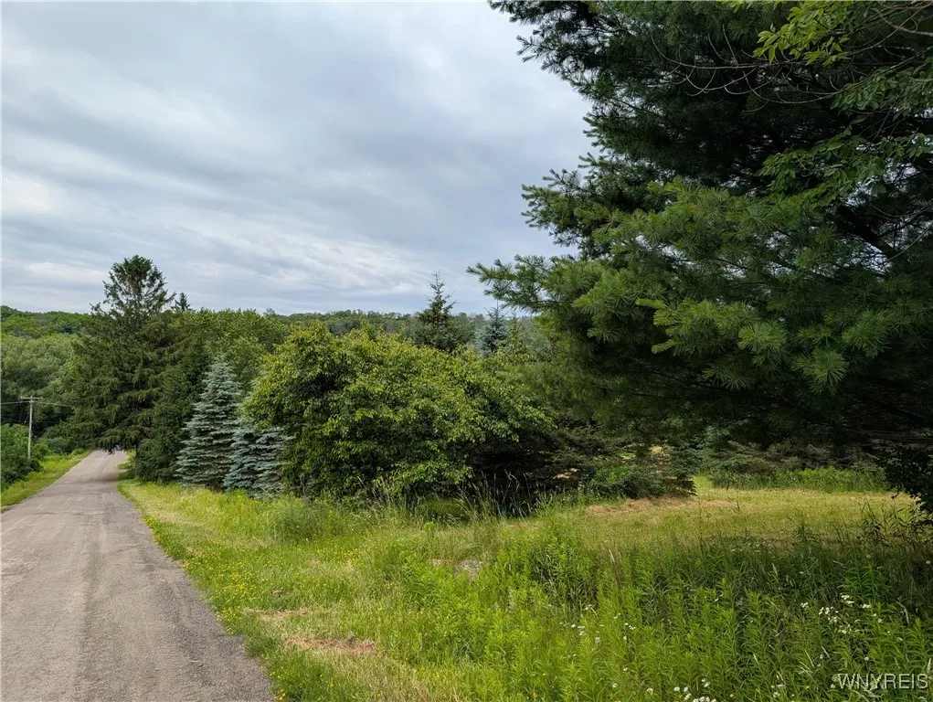 9775 Huyck Road, Farmersville, New York 14060, Farmersville, New York 14060, 3 Bedrooms Bedrooms, 10 Rooms Rooms,2 BathroomsBathrooms,Residential,Closed,9775 Huyck Road, Farmersville, New York 14060,0,B1619152