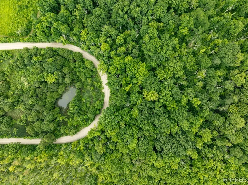 7452 Southwestern Boulevard, Evans, New York 14047, Evans, New York 14047, ,Land,For Sale,7452 Southwestern Boulevard, Evans, New York 14047,0,B1619816