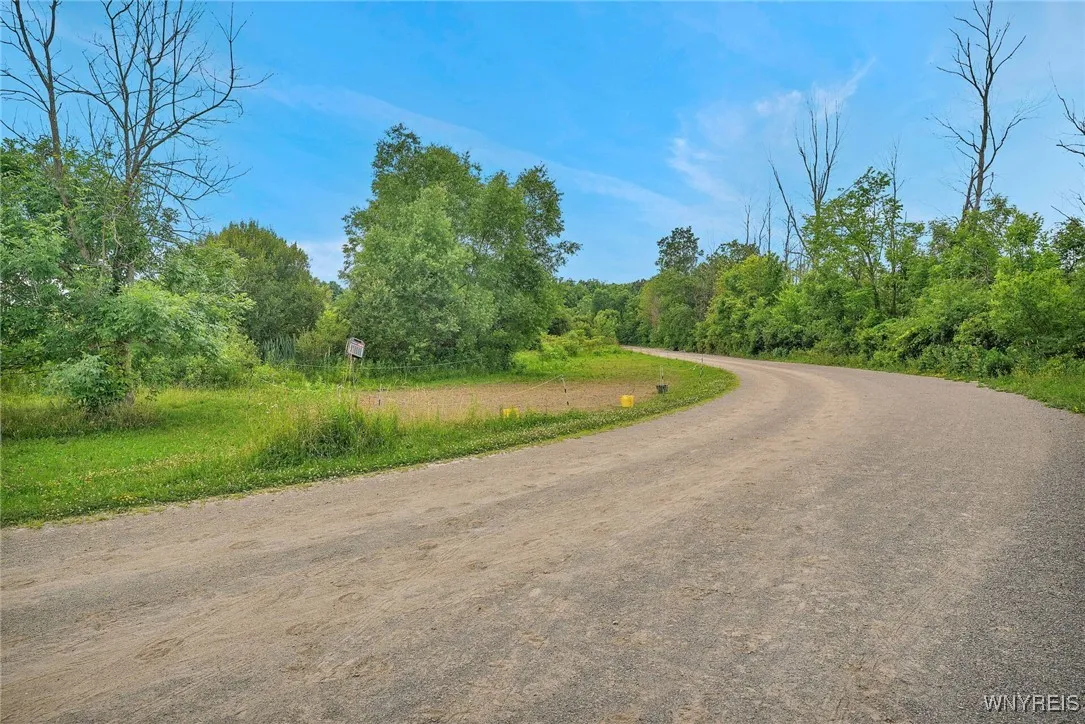 7452 Southwestern Boulevard, Evans, New York 14047, Evans, New York 14047, ,Land,For Sale,7452 Southwestern Boulevard, Evans, New York 14047,0,B1619816