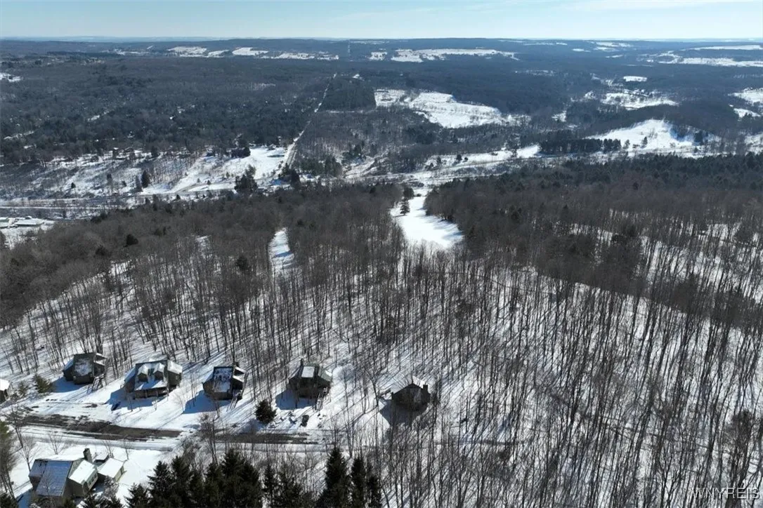 8820 Abbott Hill Road, Concord, New York 14025, Concord, New York 14025, ,Land,For Sale,8820 Abbott Hill Road, Concord, New York 14025,B1619356