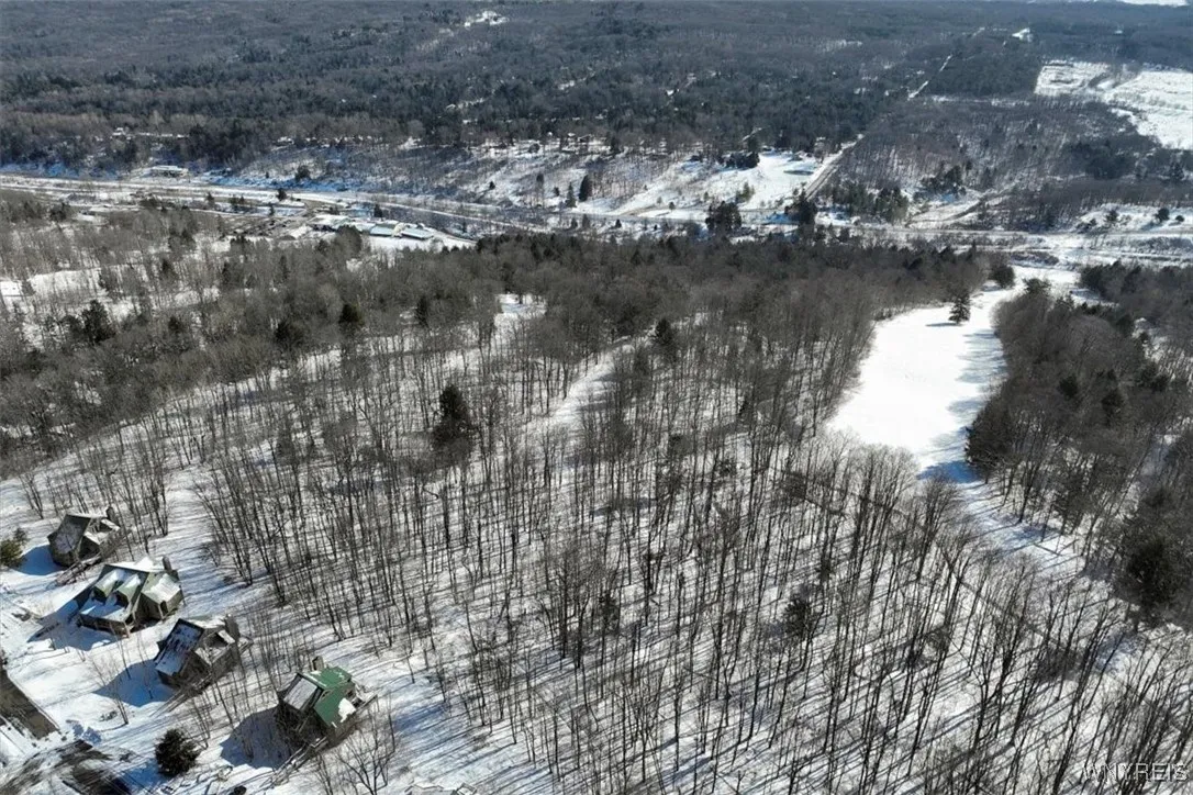 8820 Abbott Hill Road, Concord, New York 14025, Concord, New York 14025, ,Land,For Sale,8820 Abbott Hill Road, Concord, New York 14025,B1619356