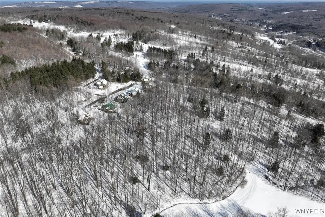 8820 Abbott Hill Road, Concord, New York 14025, Concord, New York 14025, ,Land,For Sale,8820 Abbott Hill Road, Concord, New York 14025,B1619356