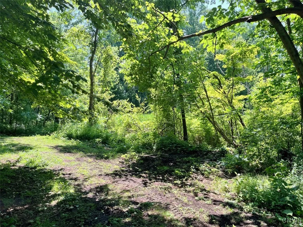 3683 Armstrong Road, Camillus, New York 13209, Camillus, New York 13209, 3 Bedrooms Bedrooms, 8 Rooms Rooms,2 BathroomsBathrooms,Residential,For Sale,3683 Armstrong Road, Camillus, New York 13209,S1619790