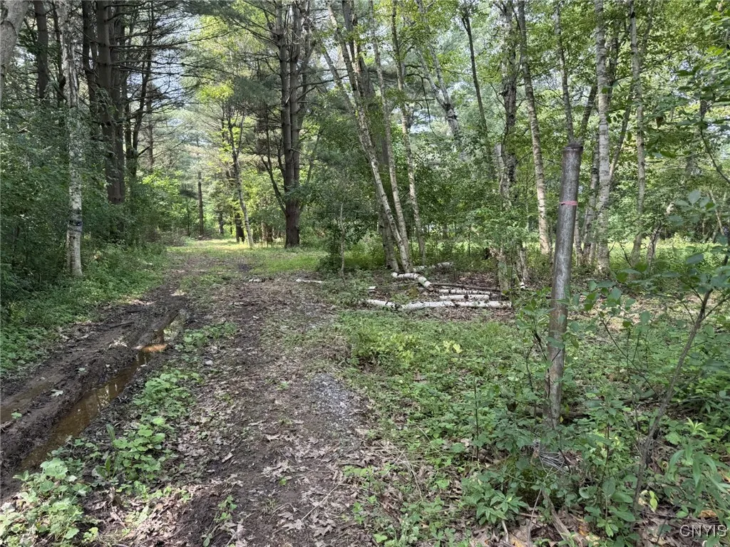 15541 Foster Park Road, Hounsfield, New York 13685, Hounsfield, New York 13685, ,Land,Closed,15541 Foster Park Road, Hounsfield, New York 13685,0,S1613803