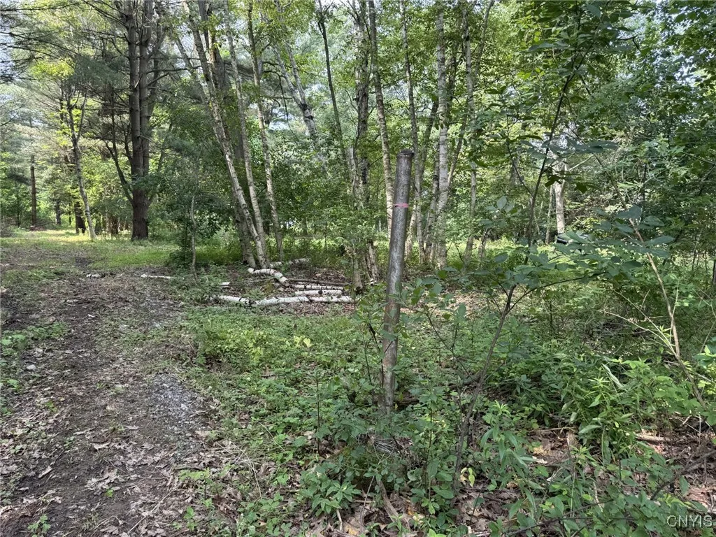 15541 Foster Park Road, Hounsfield, New York 13685, Hounsfield, New York 13685, ,Land,Closed,15541 Foster Park Road, Hounsfield, New York 13685,0,S1613803