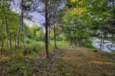 15541 Foster Park Road, Hounsfield, New York 13685, Hounsfield, New York 13685, ,Land,Closed,15541 Foster Park Road, Hounsfield, New York 13685,0,S1613803