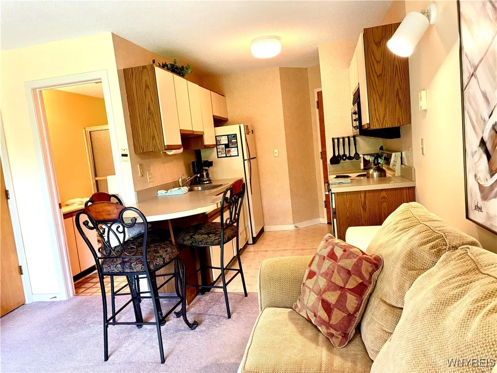 G103 Snowpine Village, Great Valley, New York 1474, Great Valley, New York 14741, 1 Bedroom Bedrooms, 3 Rooms Rooms,1 BathroomBathrooms,Residential,For Sale,G103 Snowpine Village, Great Valley, New York 1474,B1619415