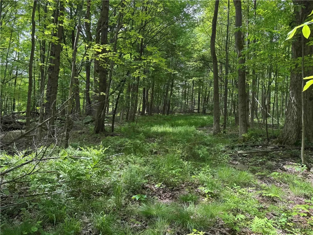 Cr-48, Ellery, New York 14701, Ellery, New York 14701, ,Land,For Sale,Cr-48, Ellery, New York 14701,S1620012
