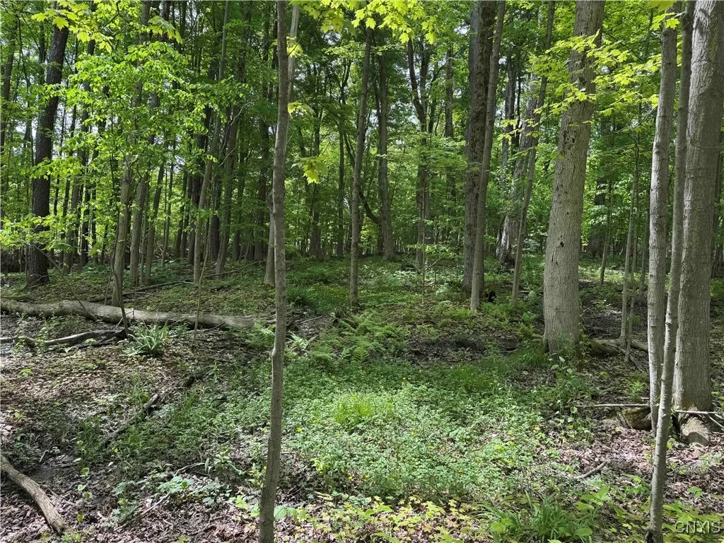 Cr-48, Ellery, New York 14701, Ellery, New York 14701, ,Land,For Sale,Cr-48, Ellery, New York 14701,S1620012