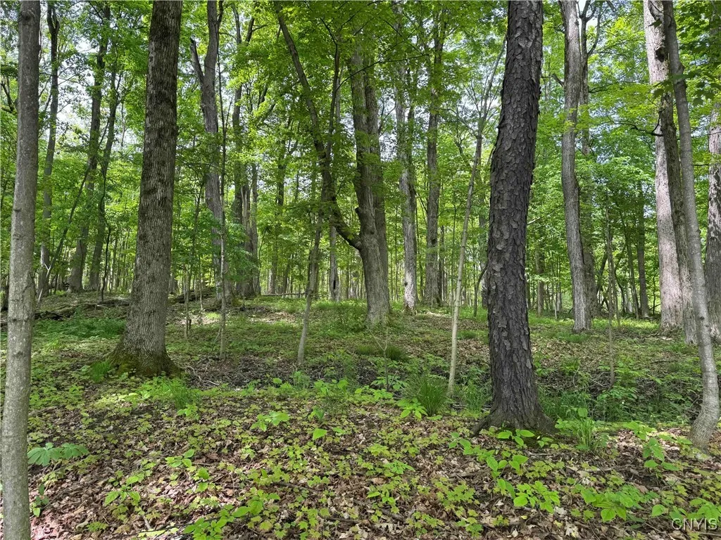 Cr-48, Ellery, New York 14701, Ellery, New York 14701, ,Land,For Sale,Cr-48, Ellery, New York 14701,S1620012
