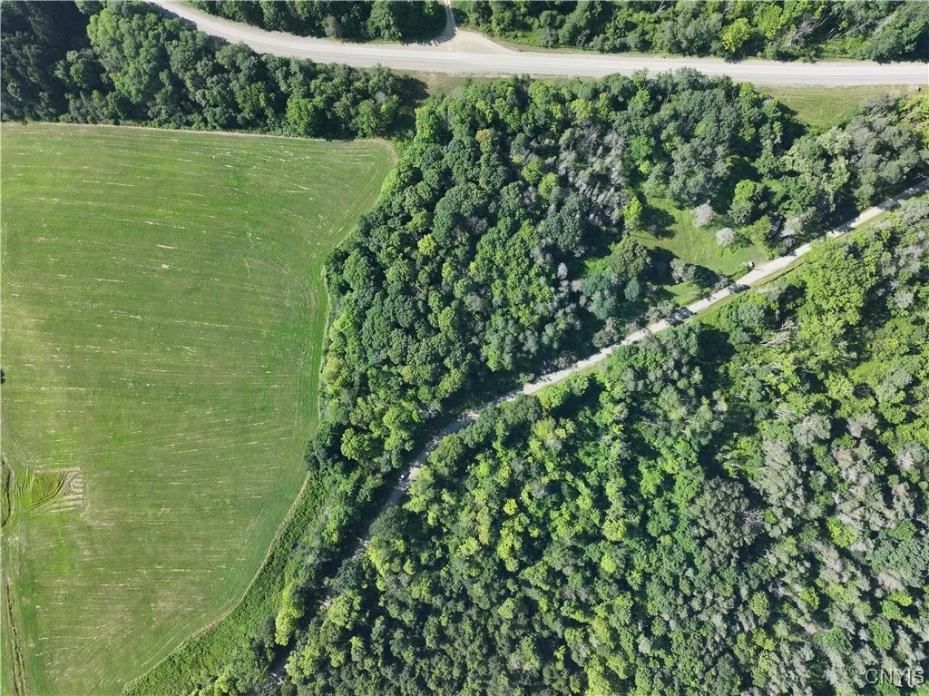 Cr-48, Ellery, New York 14701, Ellery, New York 14701, ,Land,For Sale,Cr-48, Ellery, New York 14701,S1620012