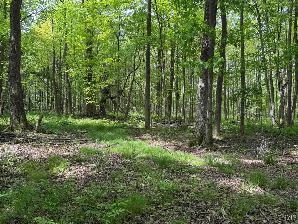 Cr-48, Ellery, New York 14701, Ellery, New York 14701, ,Land,For Sale,Cr-48, Ellery, New York 14701,S1620012