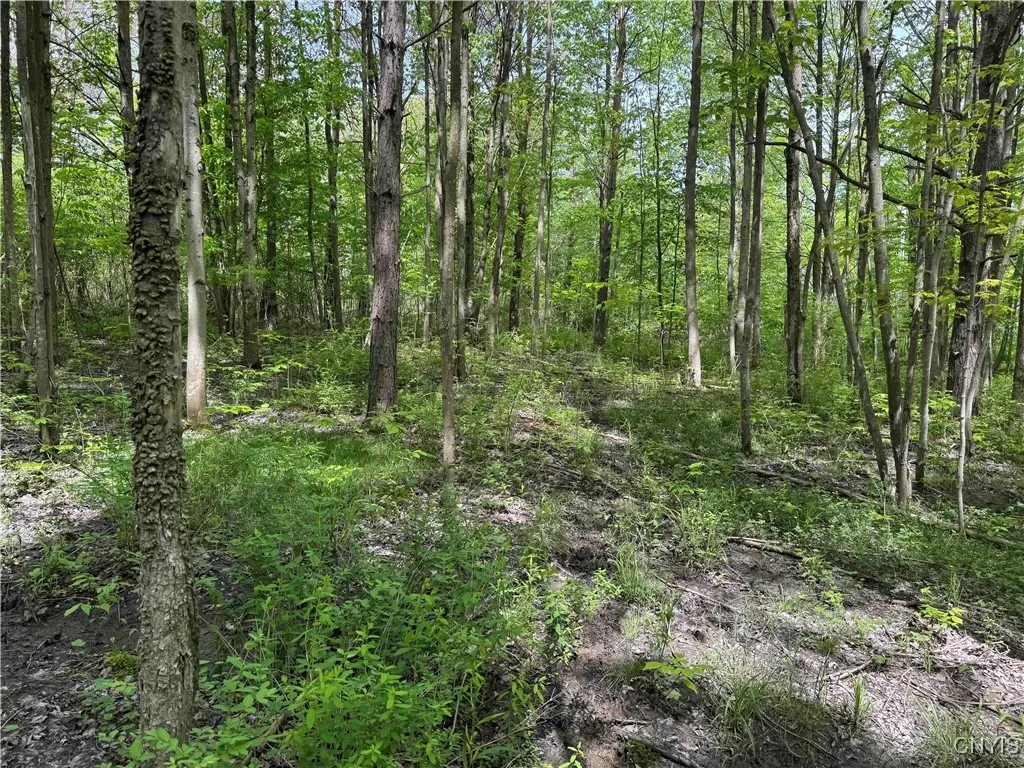 Cr-48, Ellery, New York 14701, Ellery, New York 14701, ,Land,For Sale,Cr-48, Ellery, New York 14701,S1620012