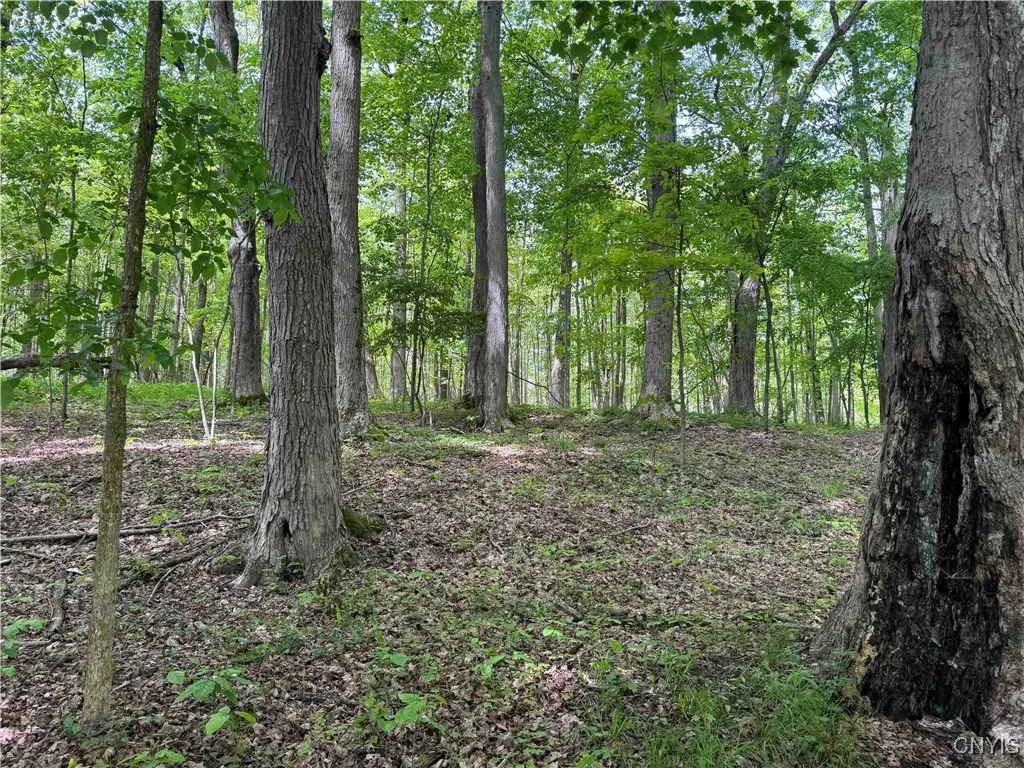 Cr-48, Ellery, New York 14701, Ellery, New York 14701, ,Land,For Sale,Cr-48, Ellery, New York 14701,S1620012