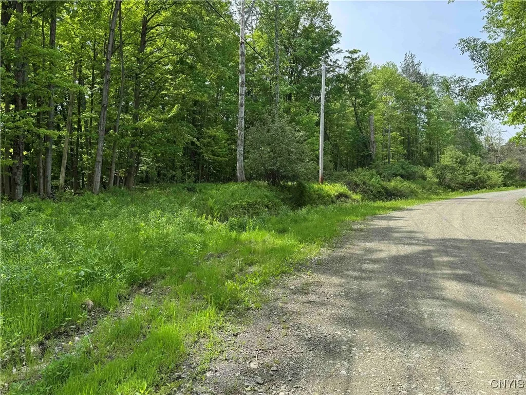 Cr-48, Ellery, New York 14701, Ellery, New York 14701, ,Land,For Sale,Cr-48, Ellery, New York 14701,S1620012