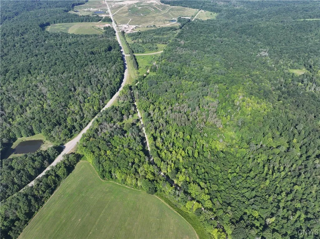 Cr-48, Ellery, New York 14701, Ellery, New York 14701, ,Land,For Sale,Cr-48, Ellery, New York 14701,S1620012